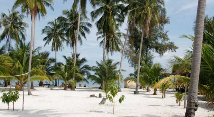 Palm Beach on Koh Rong
