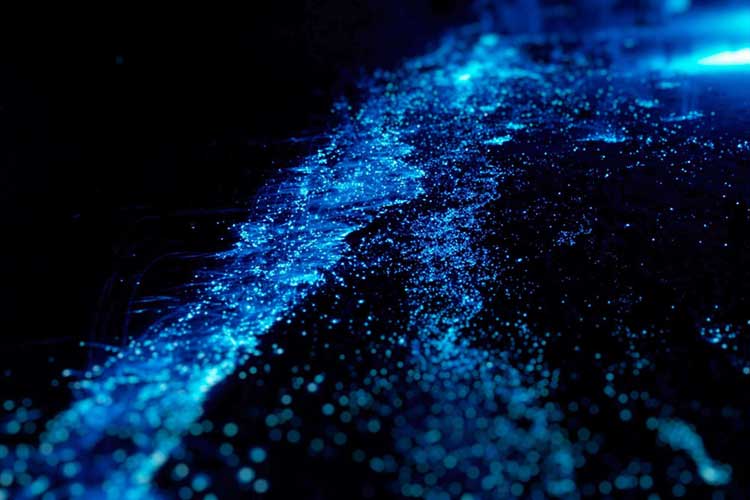 Koh Rong Plankton Glowing in the Night
