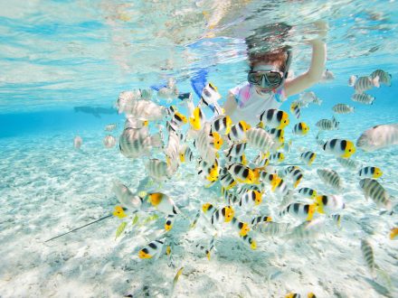 Koh-Rong-Snorkelling