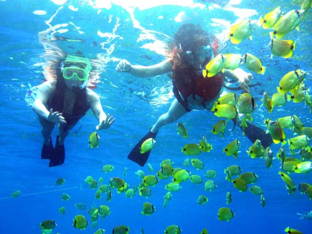 Snorkelling-on-Koh-Rong
