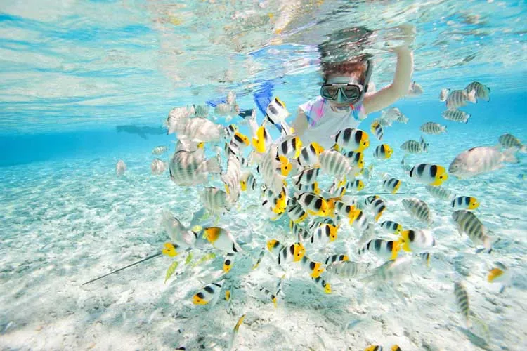 Koh Rong Snorkelling