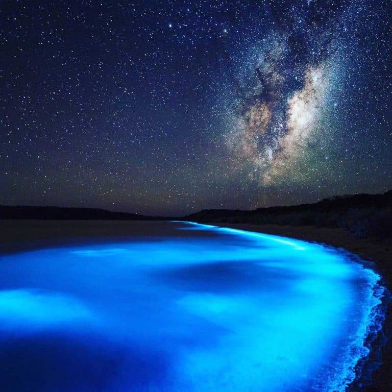 Bioluminescent Glowing Plankton on Koh Rong Island